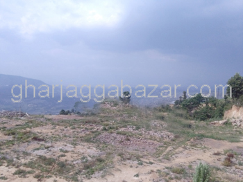 Land on Sale at Chhampi Devi Chaur